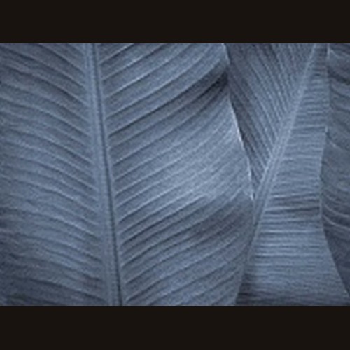 Фрески  Affresco Re 196