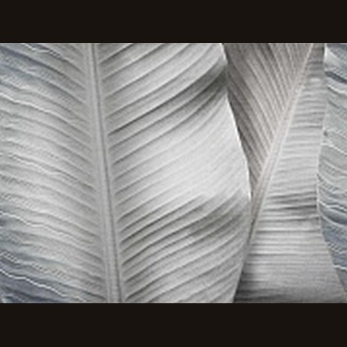 Фрески  Affresco Re 196