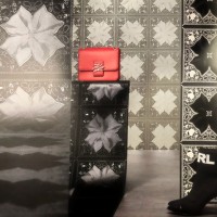   KARL LAGERFELD 37845