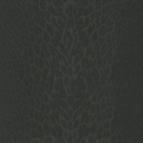 ROBERTO CAVALLI RC18029