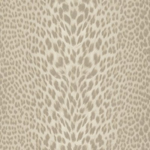 ROBERTO CAVALLI RC18029