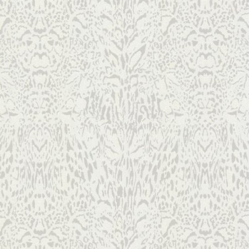 ROBERTO CAVALLI RC18054