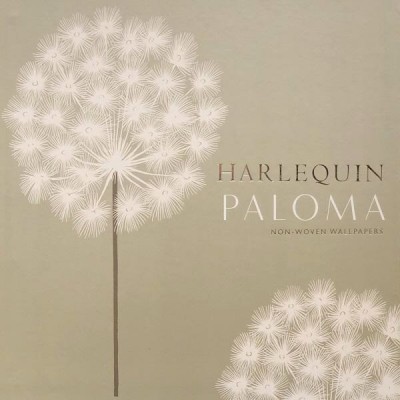Harlequin ''Paloma''
