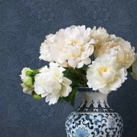 KT Exclusive KT20302 (5 цветов)