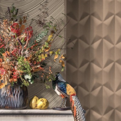 Loymina “Equilibre”