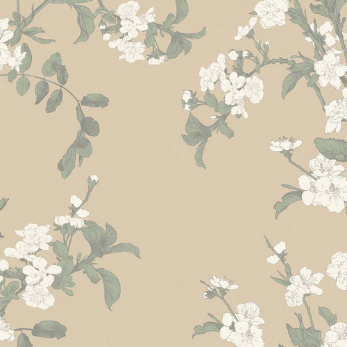 Loymina "Satori II" ST012