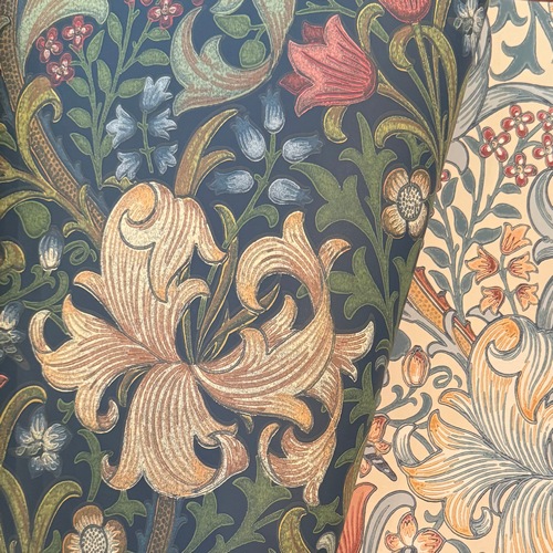 Morris "Golden Lily" 216816