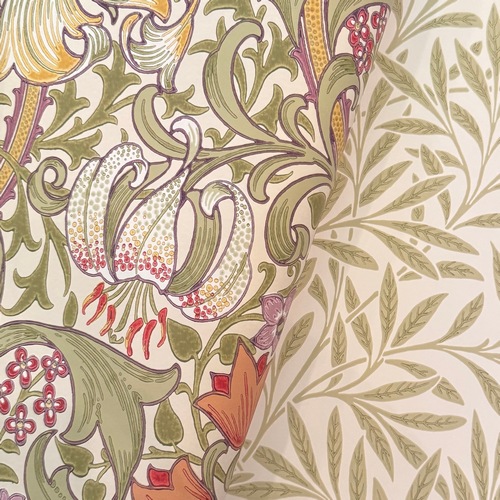 Morris "Golden Lily" 216834