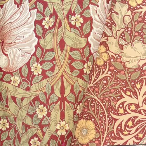 Morris "Pimpernel" 216845