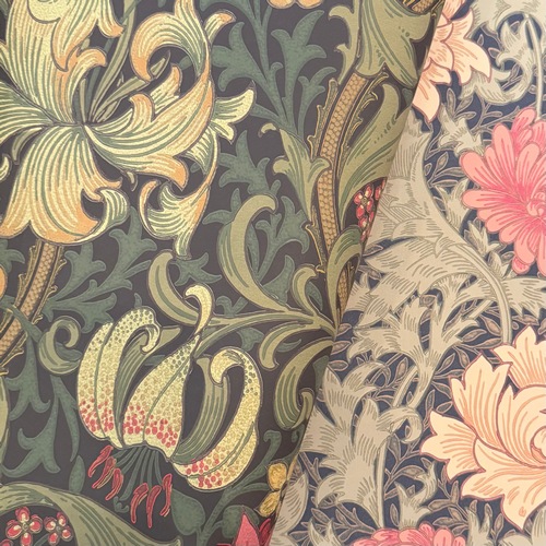 Morris "Golden Lily" 216853