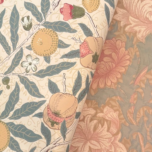 Morris "Fruit" 216859