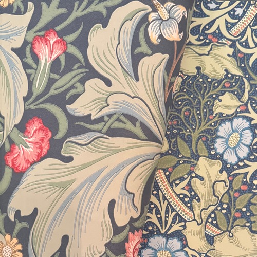 Morris "Leicester" 216864