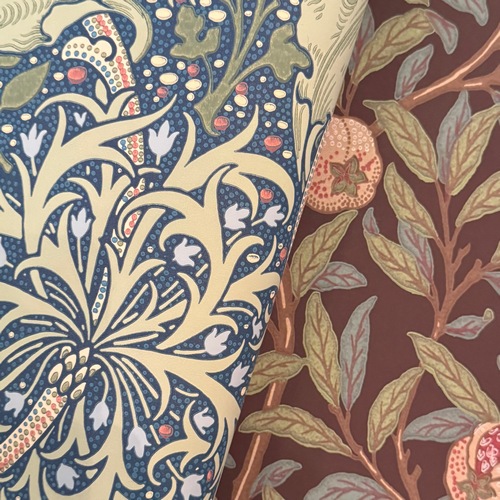 Morris "Morris Seaweed" 216865