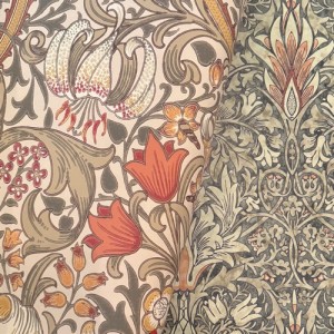 Morris "Golden Lily" 216869