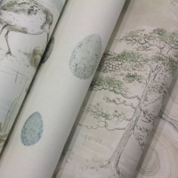  Sanderson "Ambleton Bay"