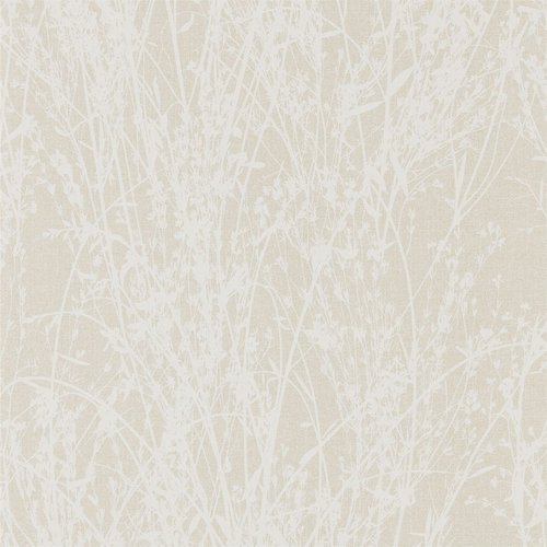 Woodland walk 215693