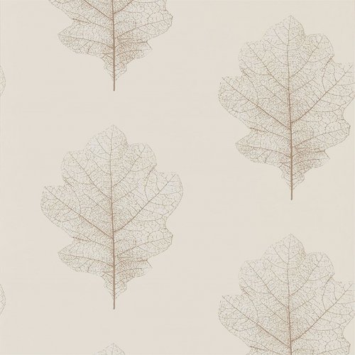 Woodland walk 215701