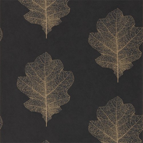Woodland walk 215701