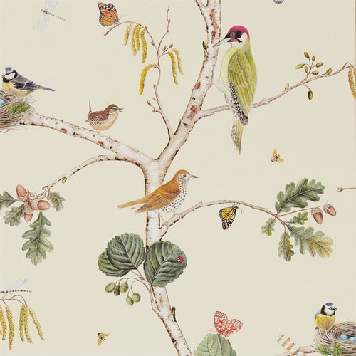 Woodland walk 215703