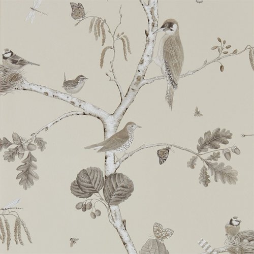 Woodland walk 215703