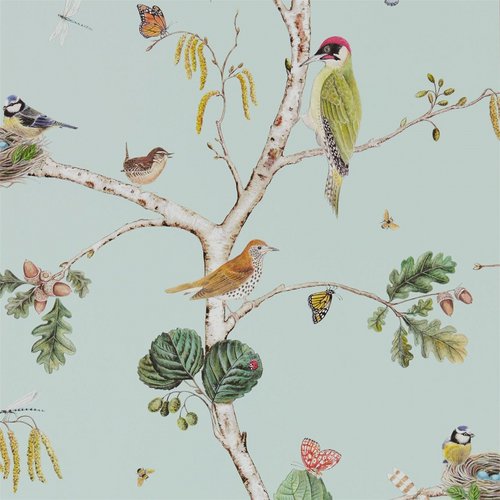 Woodland walk 215703