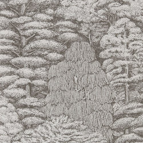 Woodland walk 215717