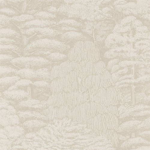 Woodland walk 215717