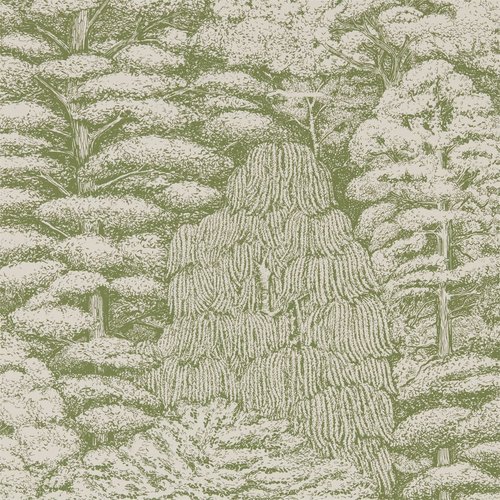 Woodland walk 215717