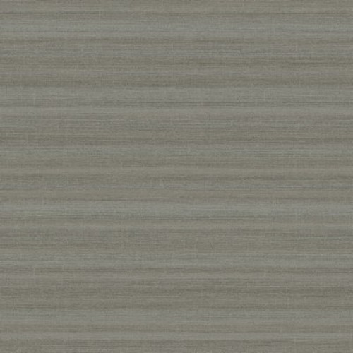 Trendsetter AK2205 (10 цветов)