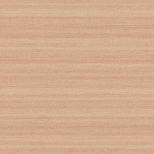 Trendsetter AK2205 (10 цветов)