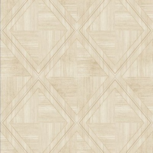 Trendsetter RE4103 (4 цвета)