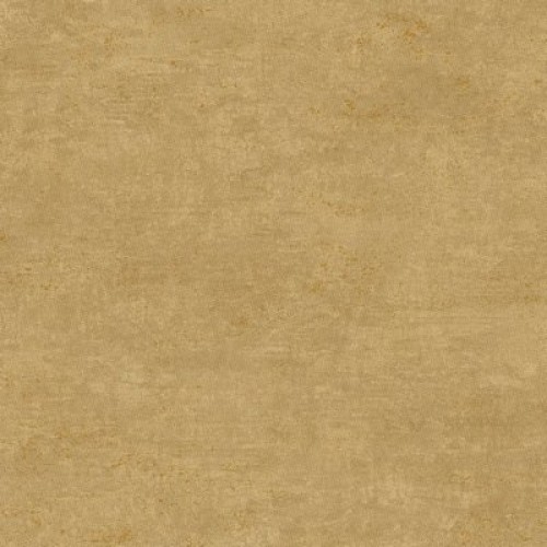 Trendsetter RE4406 (4 цвета)