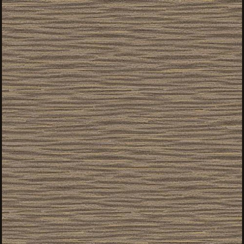 Trendsetter TH0601 (4 цвета)