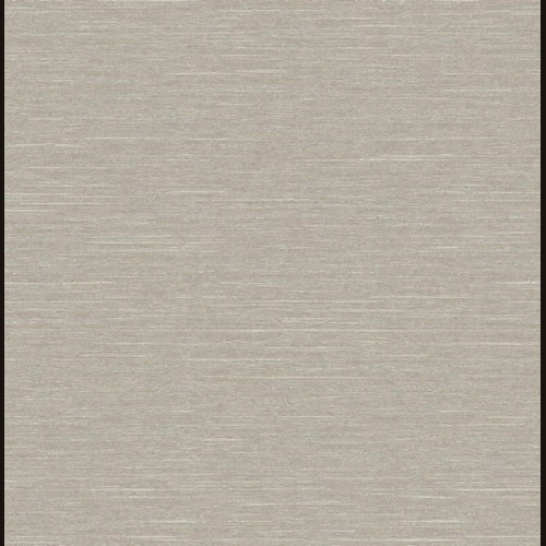 Trendsetter TH0601 (4 цвета)