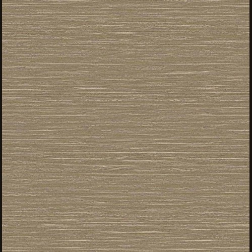 Trendsetter TH0601 (4 цвета)