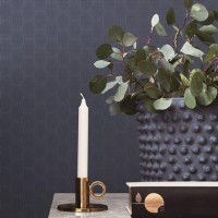 Trendsetter ZA1903 (3 цвета)