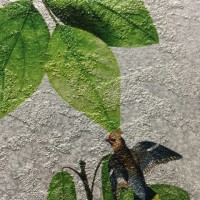 Сахара "Белое золото"