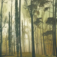 LS-ДЕРЕВЬЯ-09