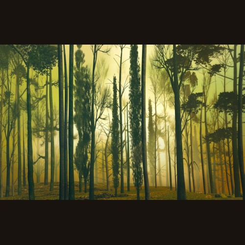 LS-ДЕРЕВЬЯ-10