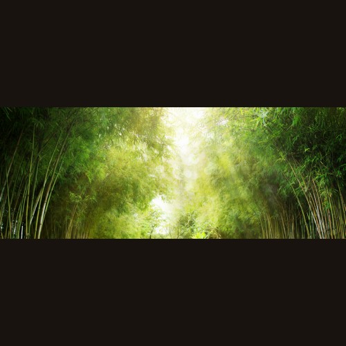 LS-ДЕРЕВЬЯ-12