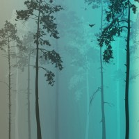 LS-ДЕРЕВЬЯ-16