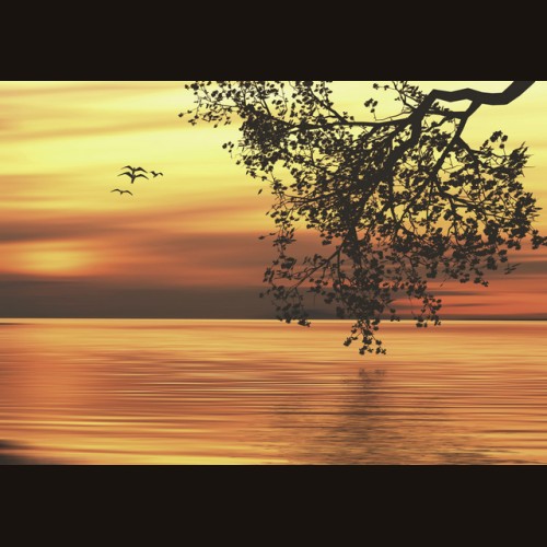 LS-ДЕРЕВЬЯ-20