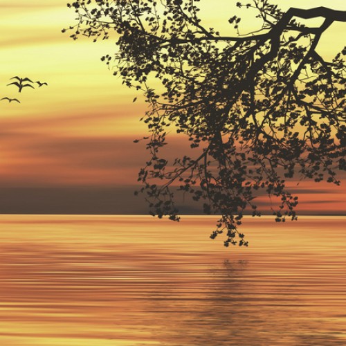 LS-ДЕРЕВЬЯ-20