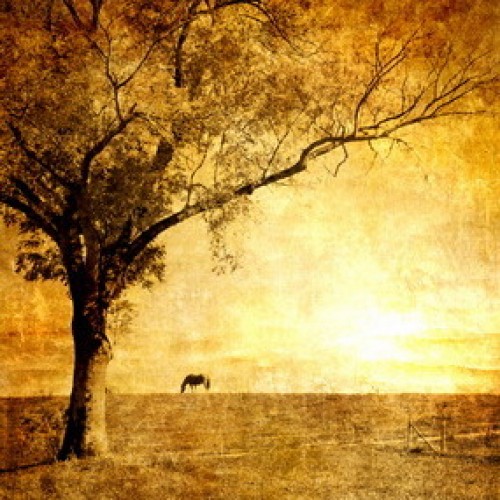 LS-ДЕРЕВЬЯ-21