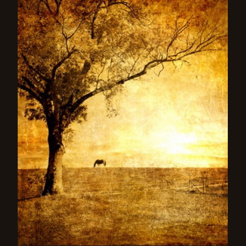 LS-ДЕРЕВЬЯ-21