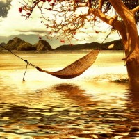 LS-ДЕРЕВЬЯ-22