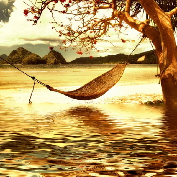 LS-ДЕРЕВЬЯ-22