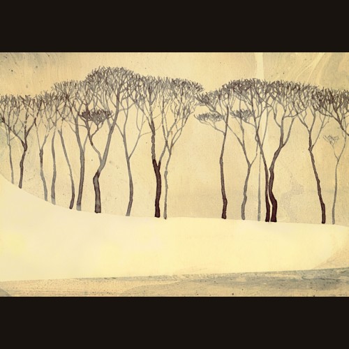 LS-ДЕРЕВЬЯ-24