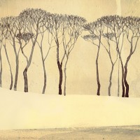 LS-ДЕРЕВЬЯ-24