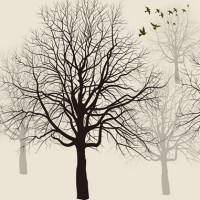 LS-ДЕРЕВЬЯ-26